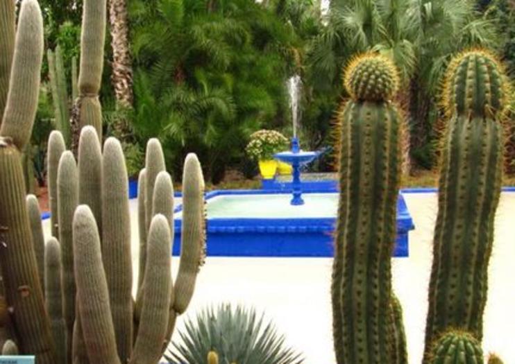 Majorelle Garden (Jardin Majorelle)